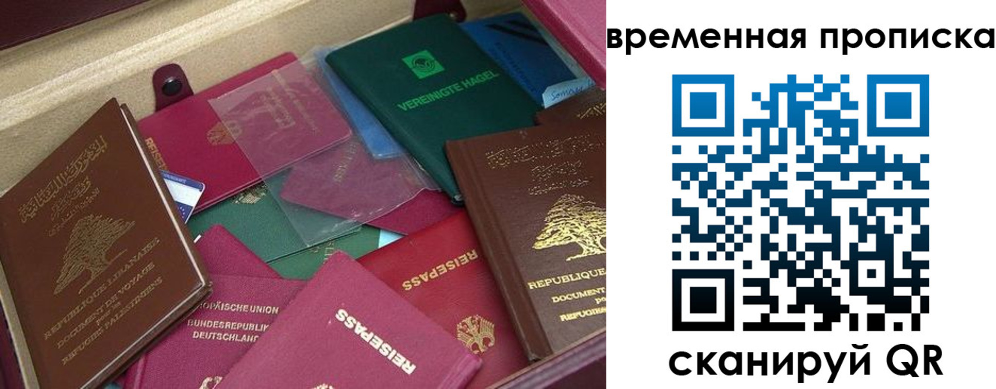 прописка в Боре